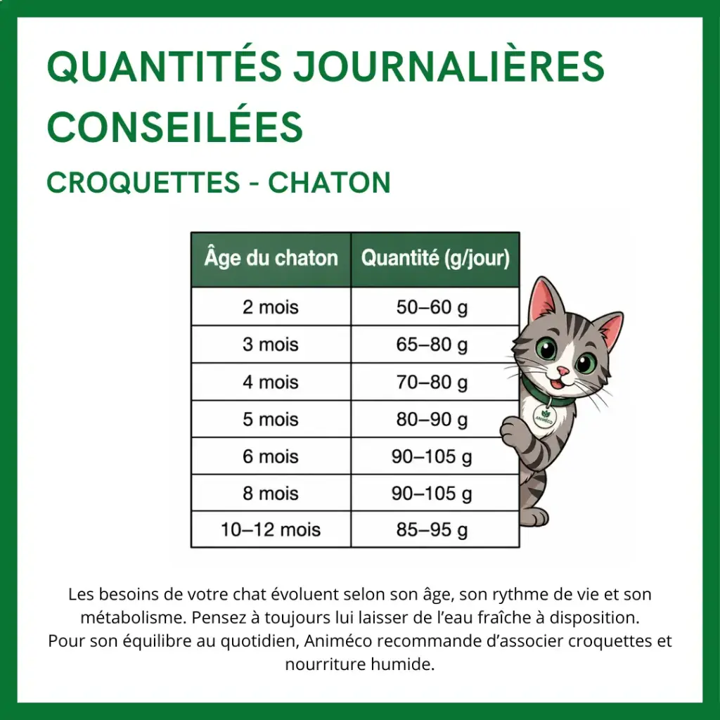 transition poulet copie.webp
